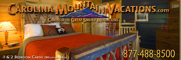 NC Mountain Cabin Rentals in the Bryson City, Cherokee and Fontana Lake areas of the North Carolina  Smoky Mountains by Carolina Mountain Vacations