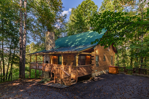 Above the Lake  cabin