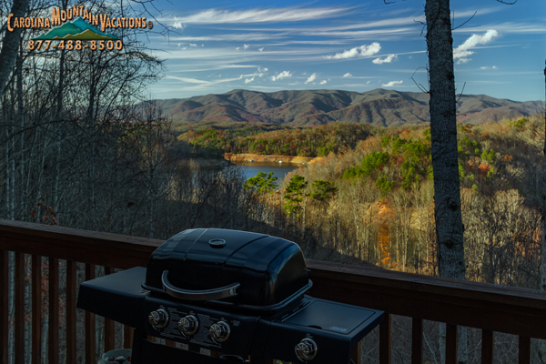 Above the Lake  cabin