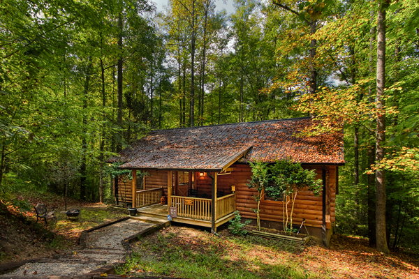 Adventure Awaits quiet mountain forest basecamp. 