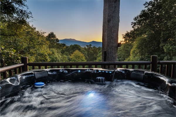 Peaceful Paradise log cabin on Fontana lake