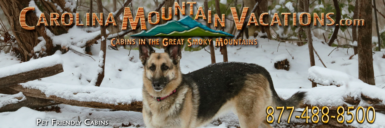 Pet Friendly NC Mountain Cabin Rentals and vacation lodging in the Bryson City, Cherokee, Nantahala and Fontana Lake areas of the North Carolina Smoky Mountains by Carolina Mountain Vacations