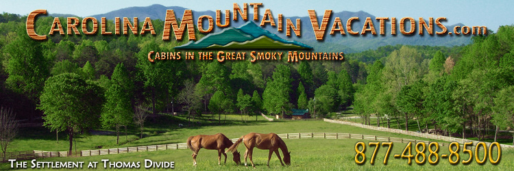 NC Mountain Cabin Rentals in the Bryson City, Cherokee, nantahala and Fontana Lake areas of the North Carolina  Smoky Mountains by Carolina Mountain Vacations